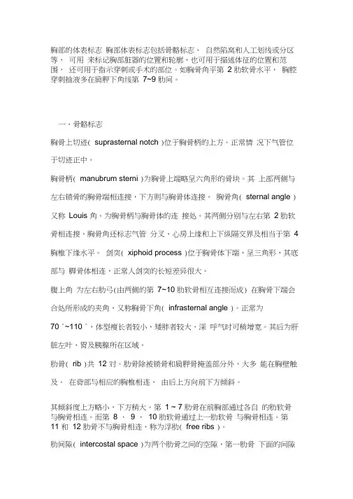 胸部的体表标志