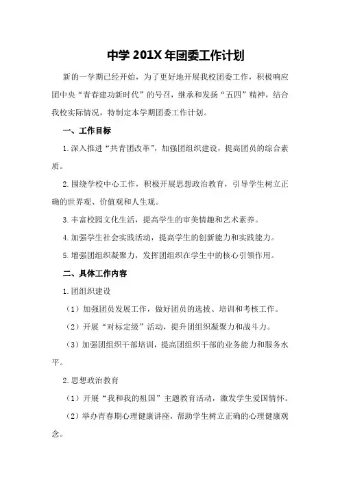中学201年团委工作计划范例