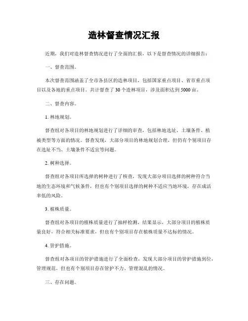 造林督查情况汇报