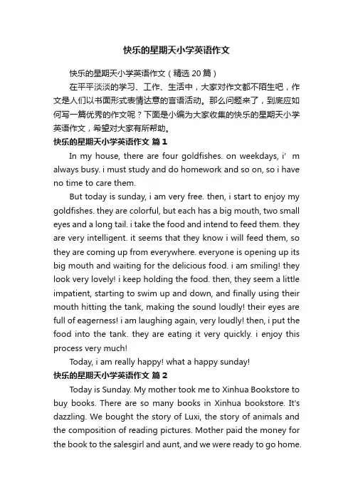 快乐的星期天小学英语作文