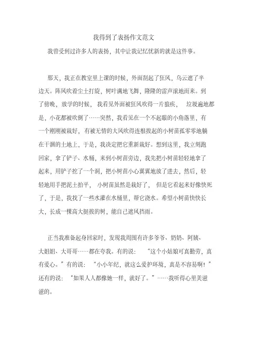 我得到了表扬作文范文
