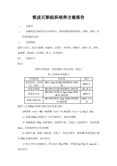 铁皮石斛组培方案样本