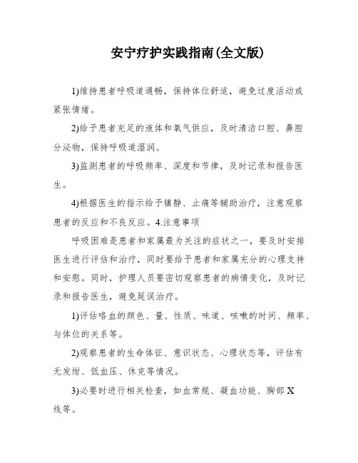 安宁疗护实践指南(全文版)