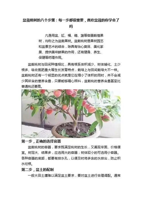 盆栽桃树的八个步骤：每一步都很重要，喜欢盆栽的你学会了吗