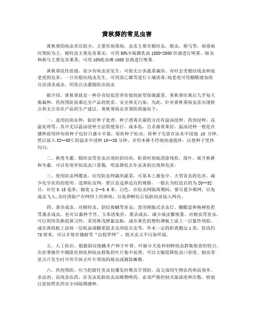 黄秋葵的常见虫害