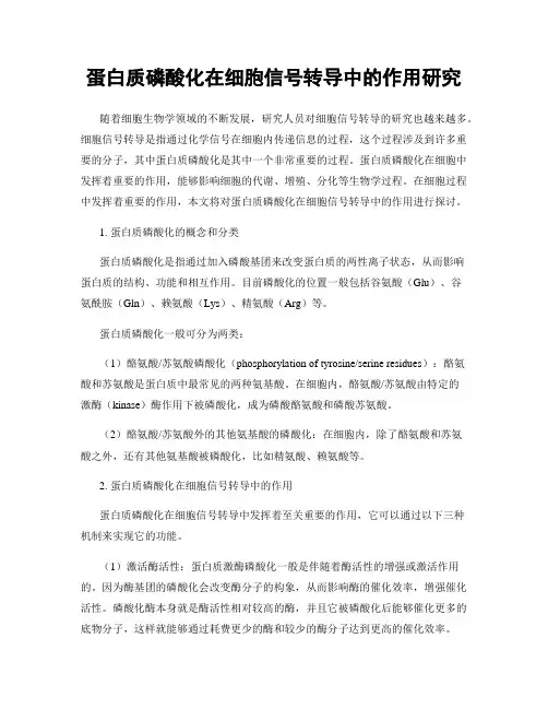 蛋白质磷酸化在细胞信号转导中的作用研究