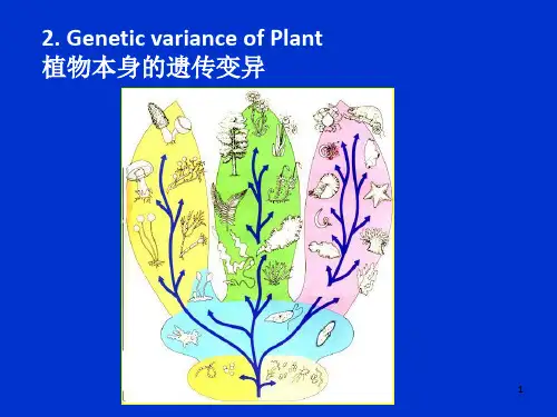 浙江大学2012植物学甲课件第01次课2008第31到