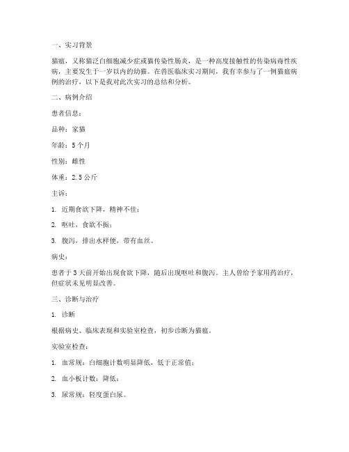 猫瘟实习报告