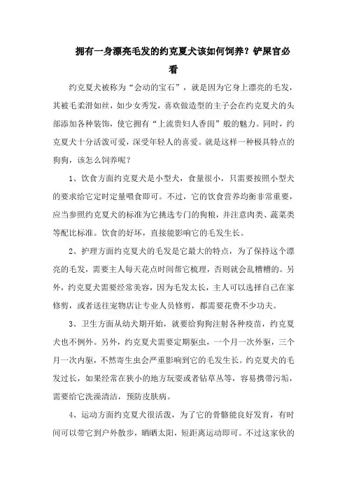 拥有一身漂亮毛发的约克夏犬该如何饲养？铲屎官必看