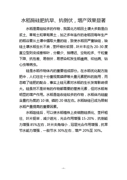 水稻施硅肥抗旱、抗倒伏,增产效果显著