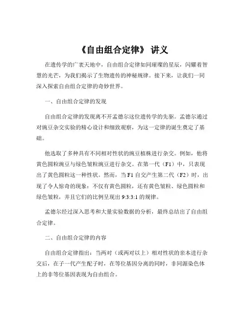 《自由组合定律》 讲义