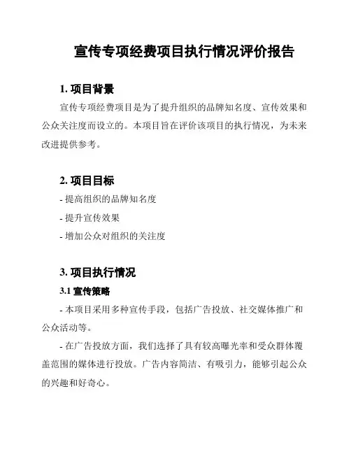 宣传专项经费项目执行情况评价报告