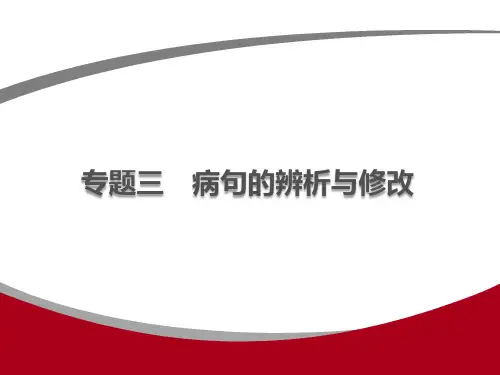 专题三 病句的辨析与修改