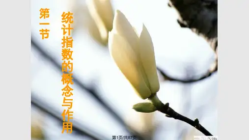 经济学第六章统计指数PPT课件