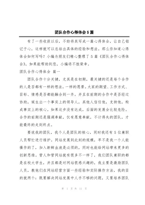 团队合作心得体会5篇