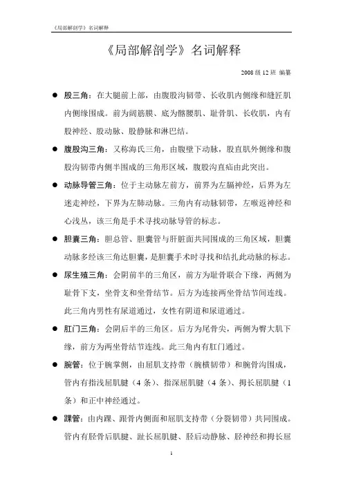 局部解剖学名词解释
