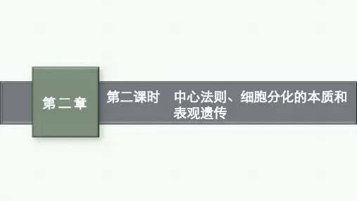 苏教版高中生物学必修2 第二章 遗传的分子基础 第三节 第二课时 中心法则、细胞分化的本质和表观遗传