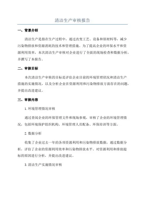 清洁生产审核报告