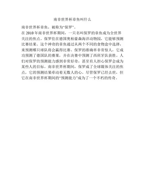 南非世界杯章鱼叫什么