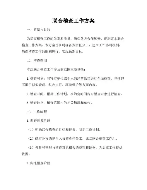 联合稽查工作方案