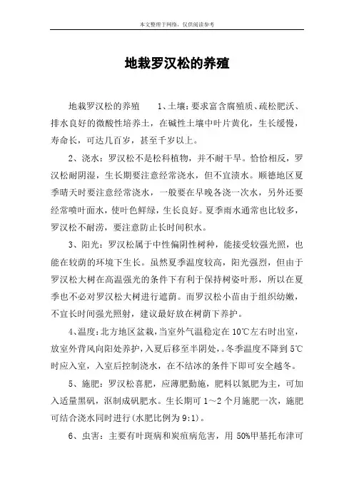 地栽罗汉松的养殖