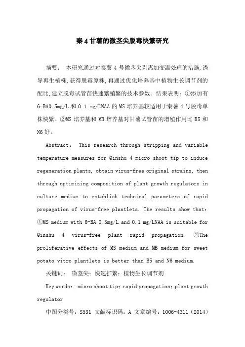 秦4甘薯的微茎尖脱毒快繁研究