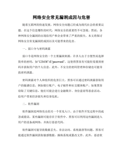网络安全常见漏洞成因与危害