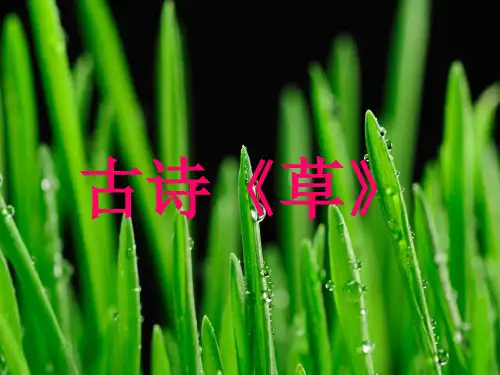 古诗—草ppt