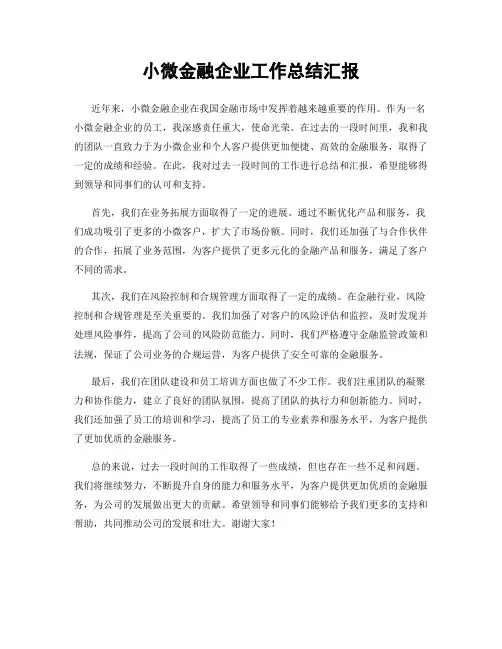 小微金融企业工作总结汇报