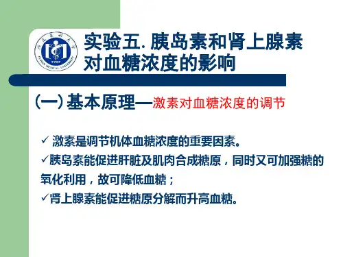 医科大学精品课件：实验五_胰岛素、肾上腺素对血糖浓度的影响