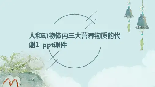 人和动物体内三大营养物质的代谢1-课件