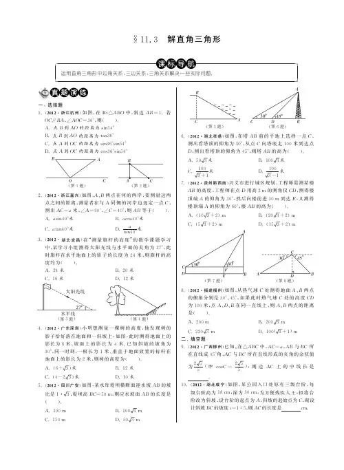11.3解直角三角形(分类精讲)·数学中考分类精粹