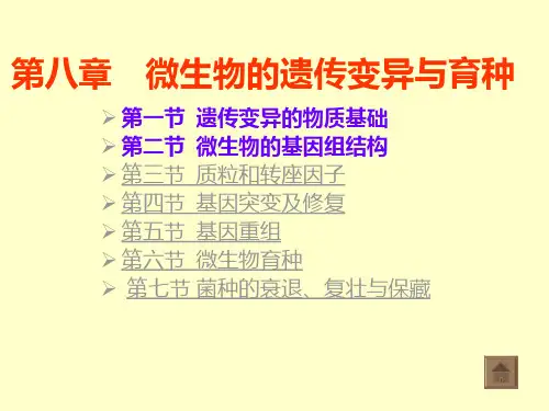 第八章微生物的遗传变异与育种ppt课件