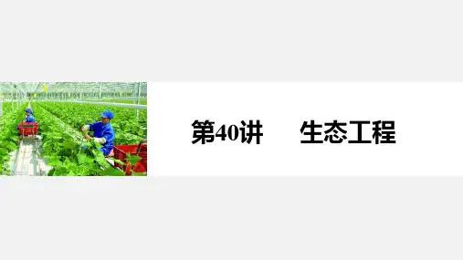 高考生物 一轮复习 现代生物科技专题 第40讲 生态工程 新人教版