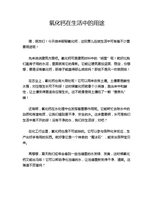 氧化钙在生活中的用途