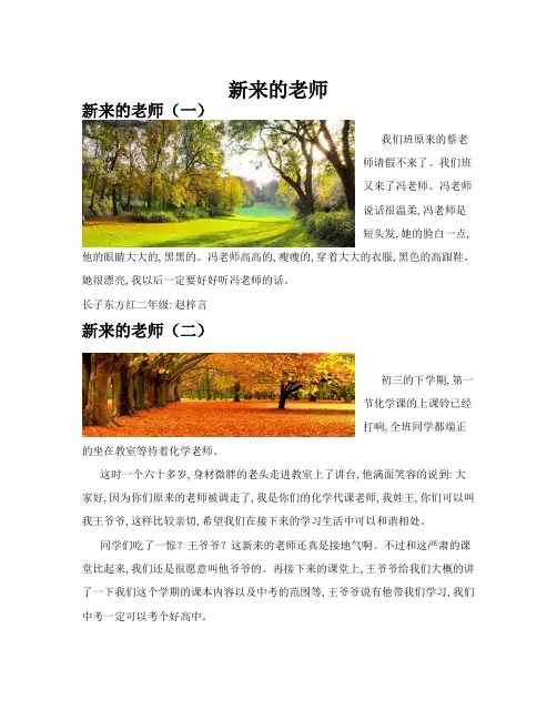 新来的老师(共10篇)