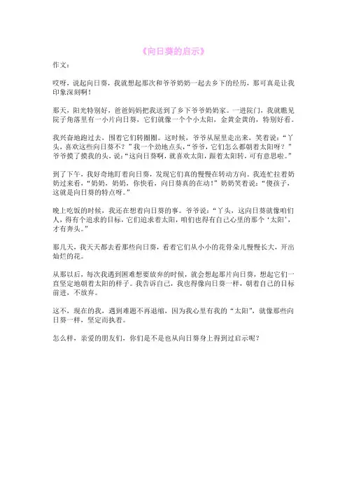 《向日葵的启示》