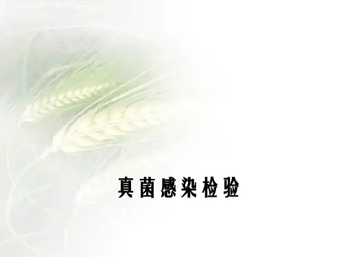 真菌感染检验
