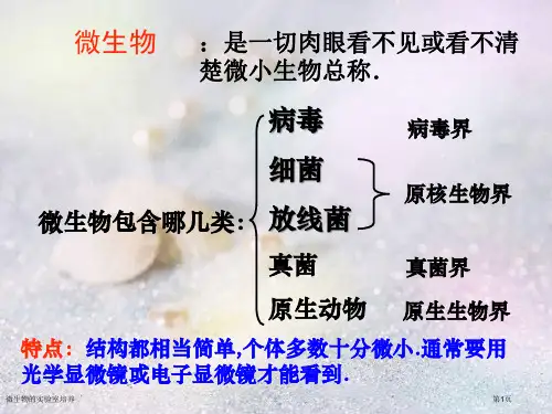 微生物的实验室培养