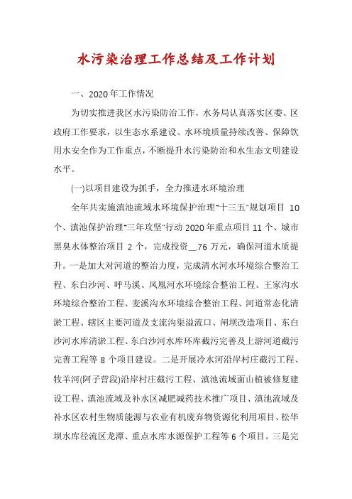 水污染治理工作总结及工作计划