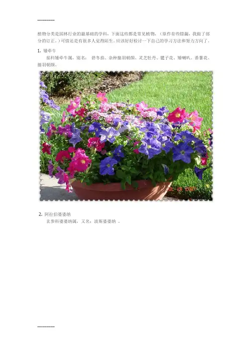 (整理)常见街道园林景观植物分类