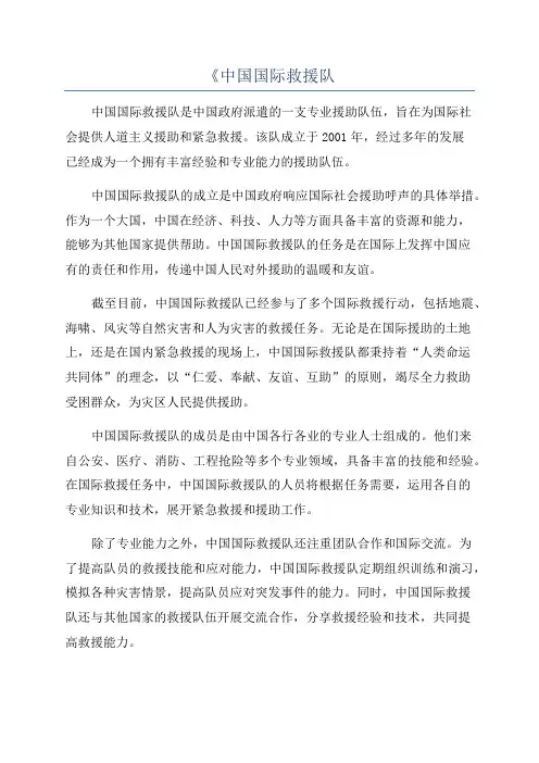 《中国国际救援队