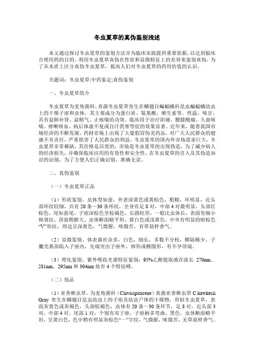 冬虫夏草的真伪鉴别浅述