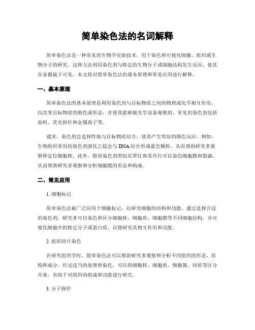 简单染色法的名词解释