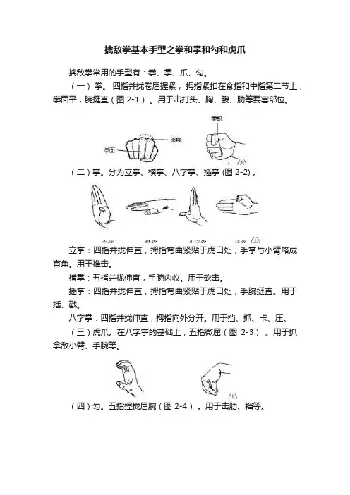 擒敌拳基本手型之拳和掌和勾和虎爪