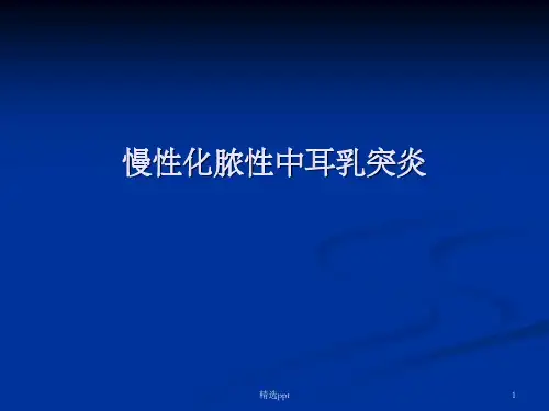 慢性化脓性中耳乳突炎