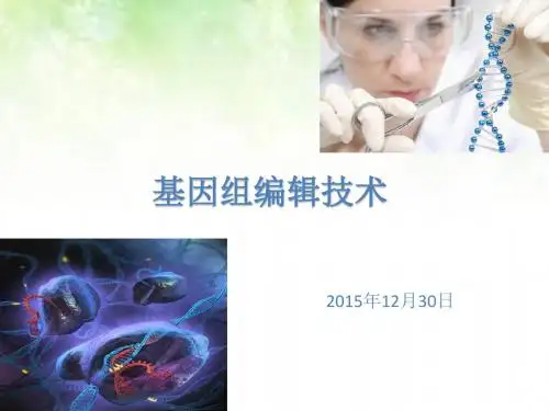 基因组编辑技术