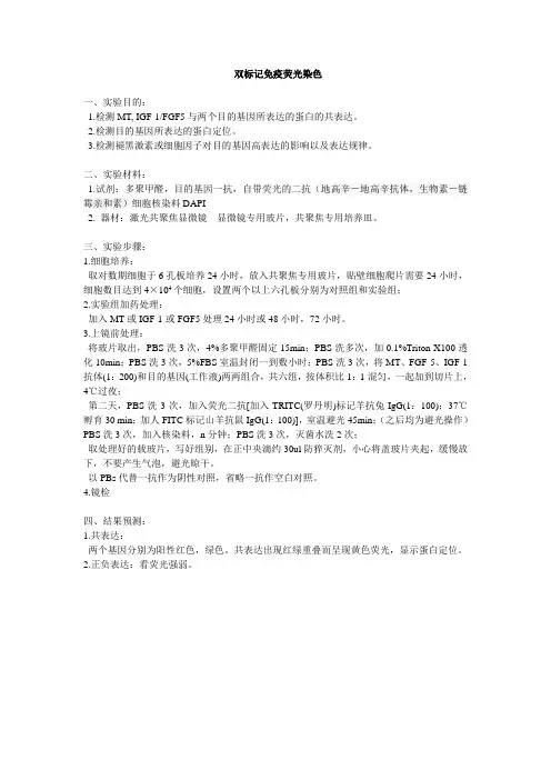 双标记免疫荧光染色