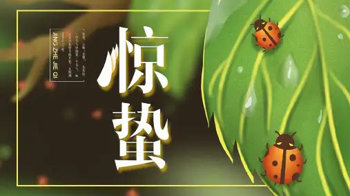 大气二十四节气之惊蛰主题节气介绍PPT模板