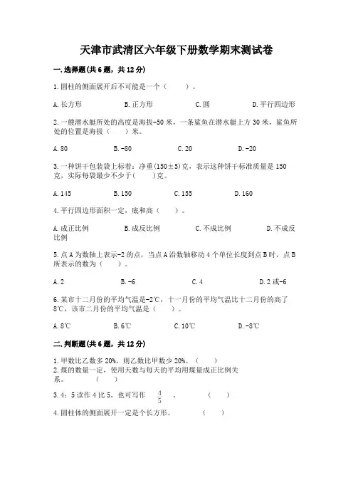天津市武清区六年级下册数学期末测试卷必考题